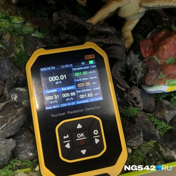 Источник: Александр Левчук / NGS42.RU