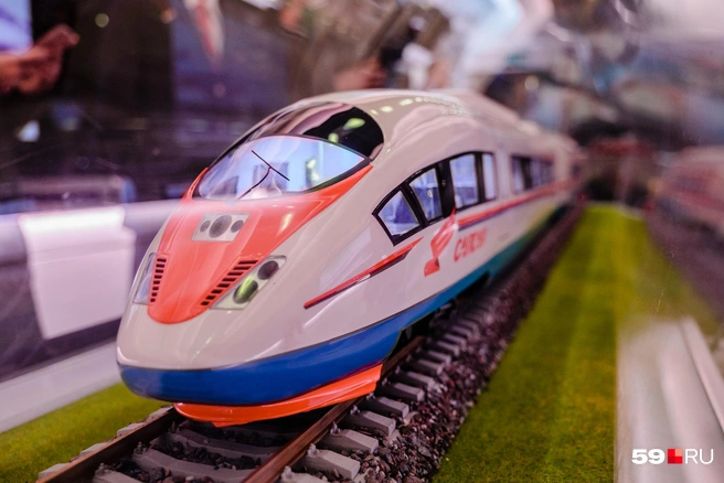 «Сапсан» развивает скорость до 250 километров в час | Источник: Тимофей Калмаков