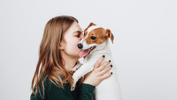 Как поведение хозяина влияет на его собаку: объяснение зоопсихолога
