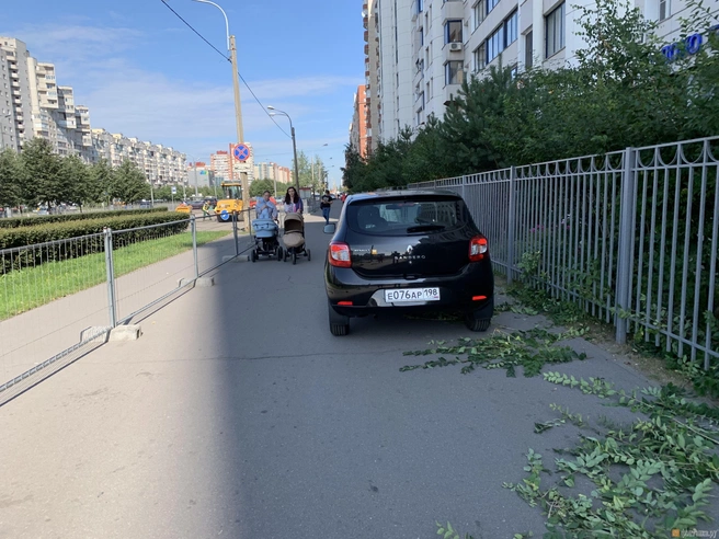 Источник: "Фонтанка.ру"