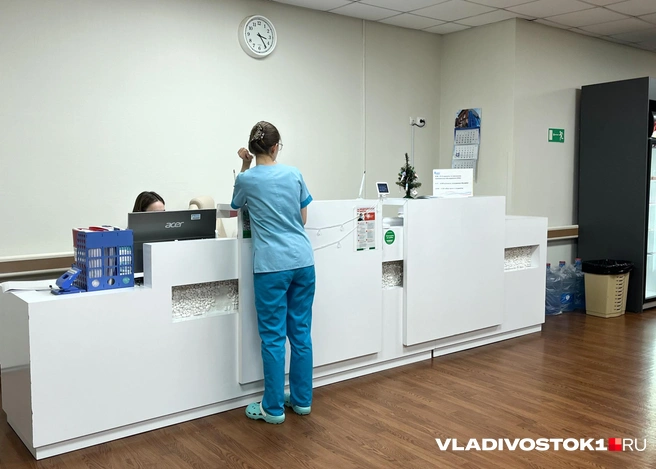 Но министр пообещал решить проблему иначе | Источник: Елена Буйвол / VLADIVOSTOK1.RU
