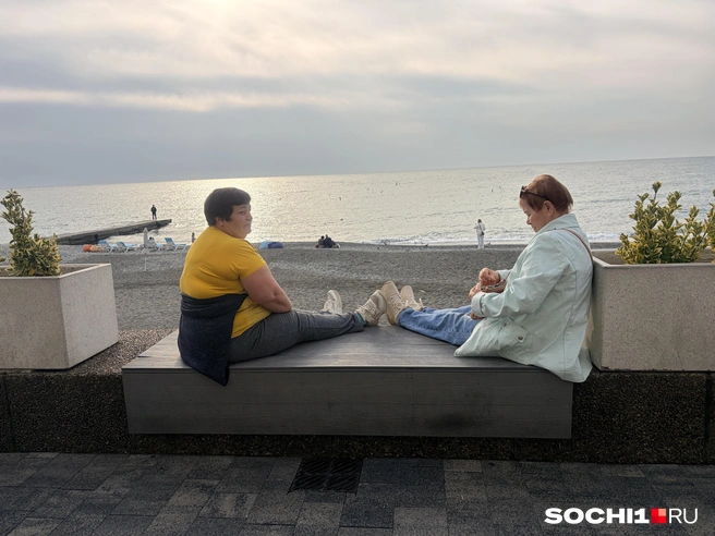 Для сибиряков особенно экзотично видеть зеленый Сочи | Источник: Анна Грицевич / SOCHI1.RU