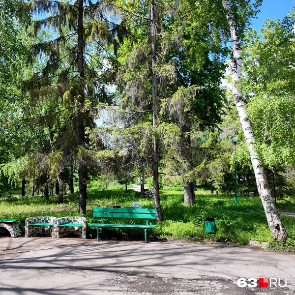 Источник: Алексей Ногинский / 63.RU