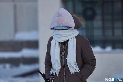 В Ярославле в конце февраля ожидаются морозы и снег