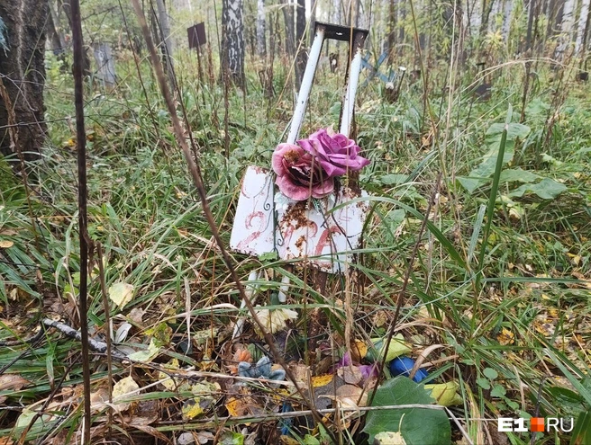 Могилы едва видно в высокой траве | Источник: Анастасия Никифорова / E1.RU