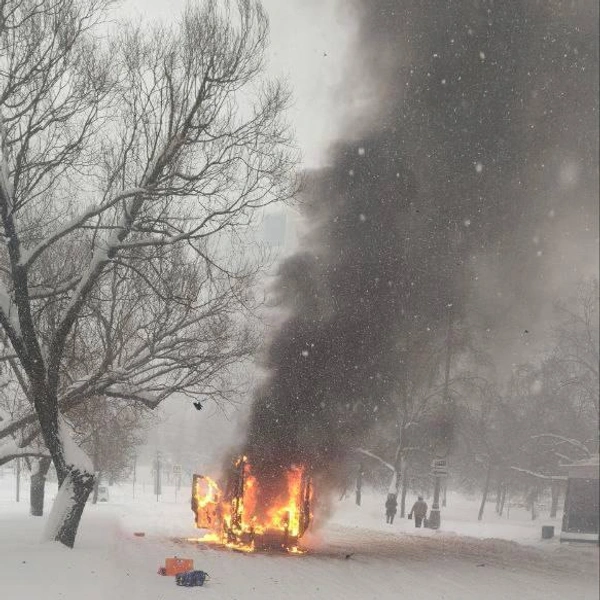 Источник: Mari / T.me