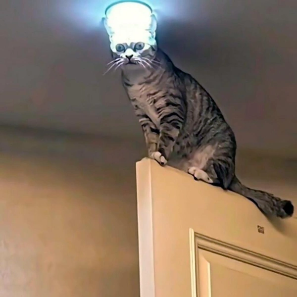 Источник: соцсети