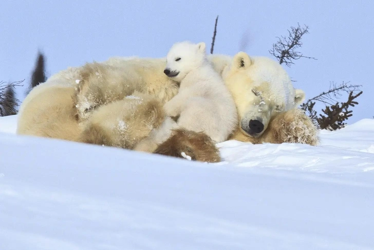 Источник: Getty Images