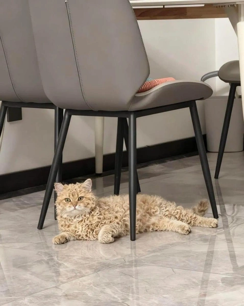 Источник: Социальные сети