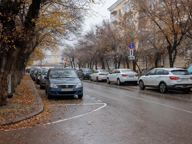 На некоторых улицах парковка разрешена, на других — грозит потерей автомобиля | Источник: Алексей Волхонский / V1.RU