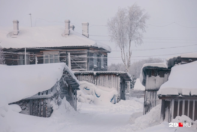 Зимой мыши ищут себе укрытие, поэтому могут поселиться не только в домах, но и в сараях | Источник: Иван Митюшёв / 29.RU