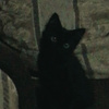 userpic__Swirliy