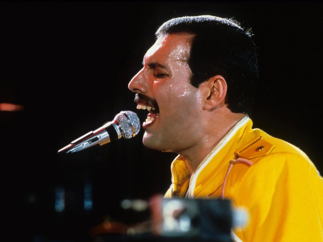 Тайная дочь Фредди Меркьюри умерла — и оставила после себя скандал | marieclaire.ru