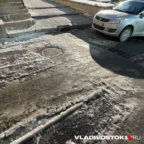 Источник: Елена Буйвол / VLADIVOSTOK1.RU