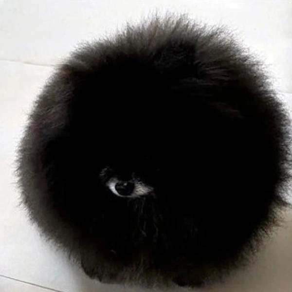 Источник: соцсети