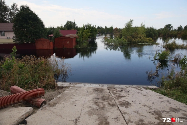 Чего на Томской больше, суши или воды, сказать очень сложно, но точно понятно, что затопленных участков&nbsp;— масса | Источник: Ирина Шарова / 72.RU