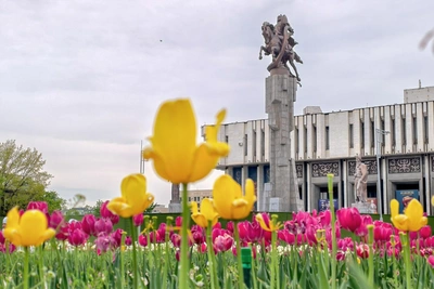 С июля из Сургута в Бишкек летают дважды в неделю