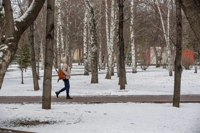 В Новосибирске ожидается потепление до -3 градусов
