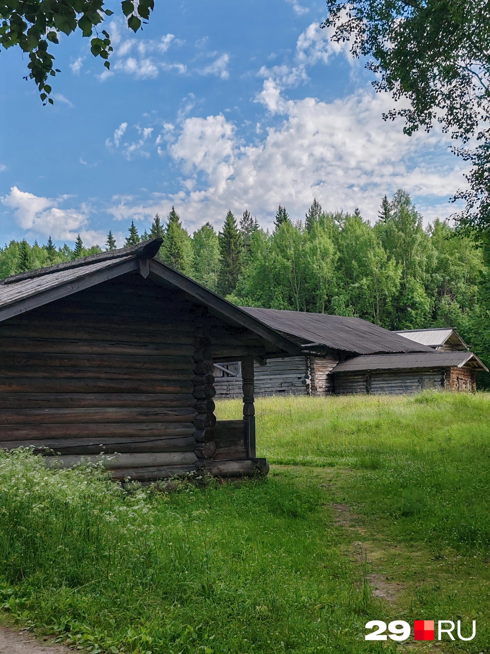 Источник: Елена Ионайтис / 29.RU
