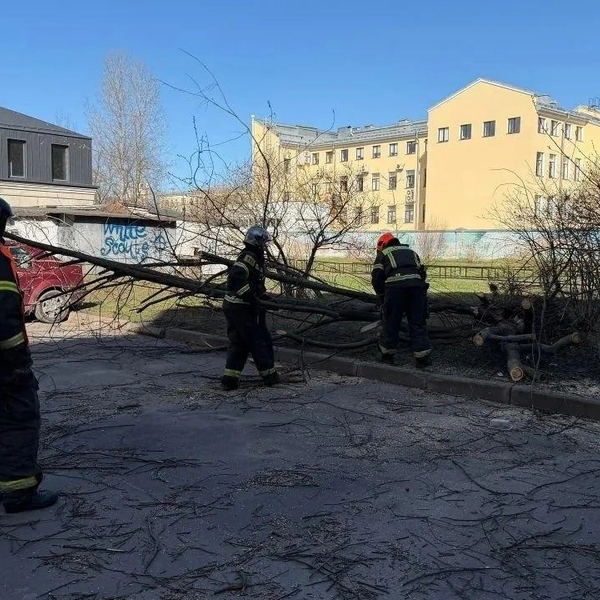 Источник: МЧС России