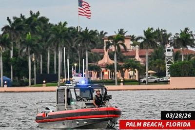 Протесты No Kings вылились в насилие