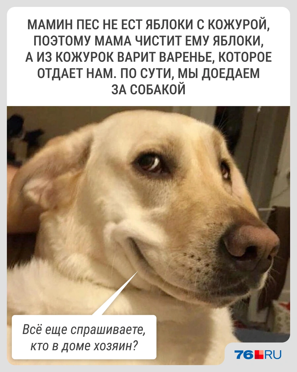 Распределение приоритетов | Источник: Городские медиа