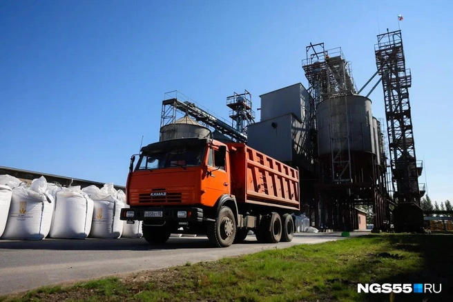 На самосвалах зерно в Китай не увезешь, а вагонов нет  | Источник: Евгений Софийчук / NGS55.RU