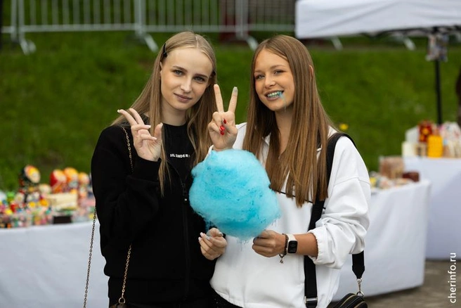 Источник: st.cherinfo.ru