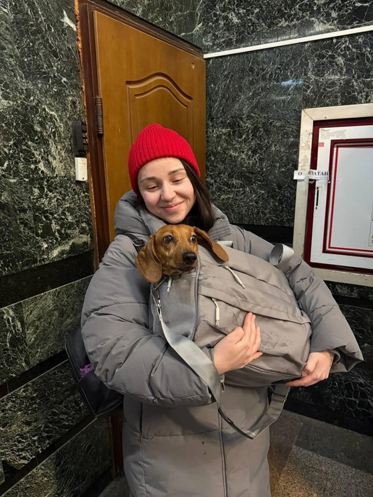 Источник: ГУ ФССП России по Санкт-Петербургу