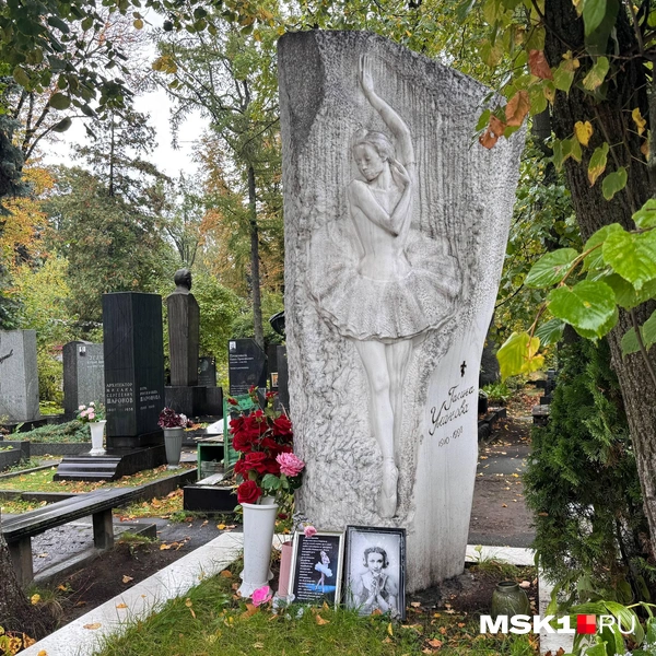 Источник: Дмитрий Толстошеев / MSK1.RU 