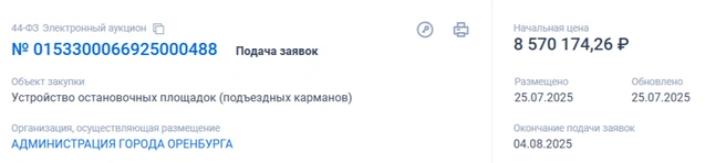 Тендер на «карманы» | Источник: «Госзакупки»
