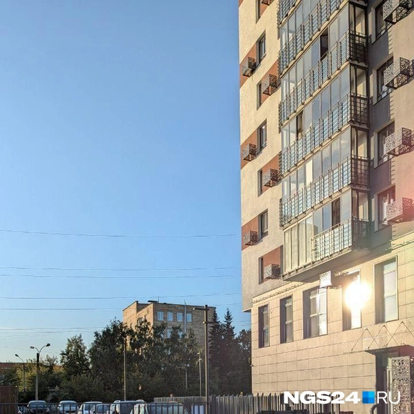 Остатки мусора и брошенные баки | Источник: Виктория / @ngs24_krsk / Telegram