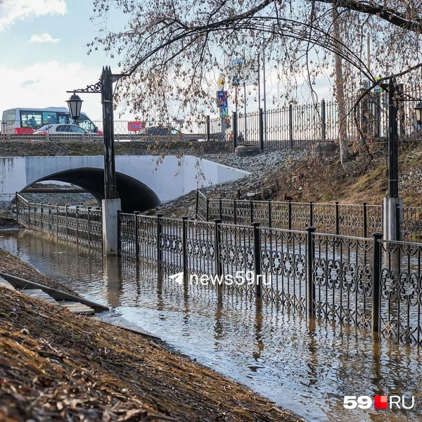 Источник: Тимофей Калмаков / 59.RU
