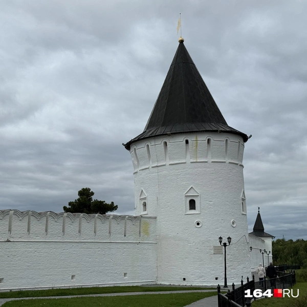 Источник: Сергей Петунин / 164.RU