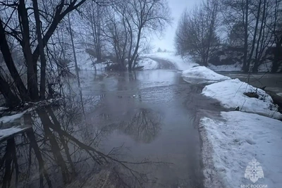 Половодье подтопило мост через реку Цон в Орловской области