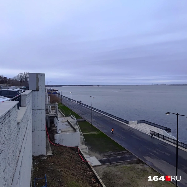 Источник: Сергей Гендин / 164.RU