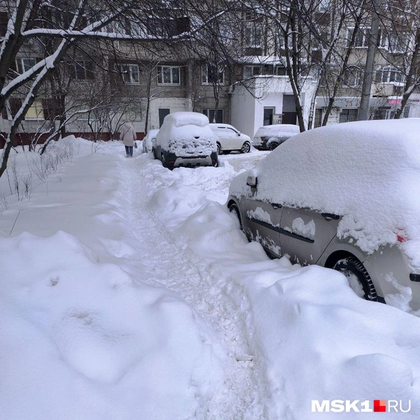 Источник: Арина / читательница MSK1
