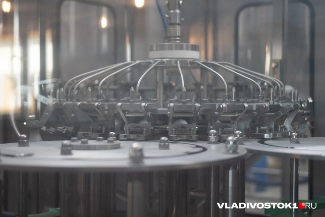 Источник: Елена Буйвол / VLADIVOSTOK1.RU
