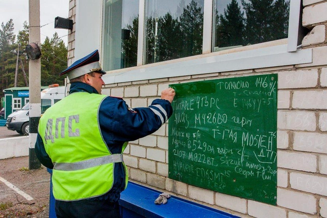 Источник: Ксения Зимина