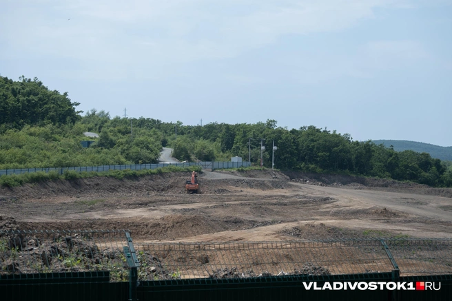 Слева — июнь 2024 года, справа — июнь 2026 года | Источник: Елена Буйвол / VLADIVOSTOK1.RU
