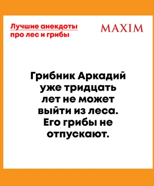 Лучшие анекдоты про лес и грибы