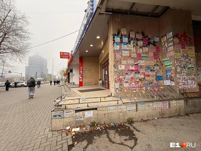 Объявления захватили всю привокзальную территорию | Источник: Дарья Костомина / E1.RU
