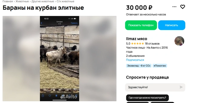 Источник: Avito.ru