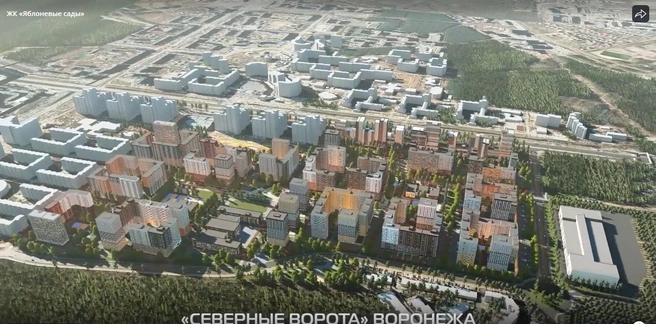 Сам застройщик называет скандальный микрорайон «городом-парком» и «северными воротами» Воронежа | Источник: стоп-кадр с видео / dsk.vrn.ru