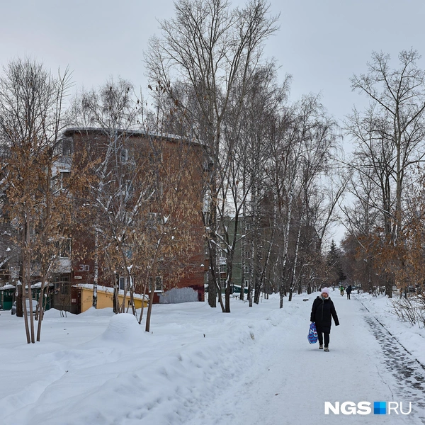 Изначально квартиры в домах поблизости выдавали сотрудникам НГТУ, в районе живет и много бывших военных | Источник: Александр Ощепков / NGS.RU