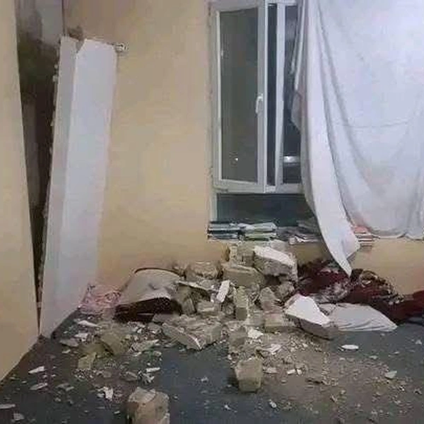 Источник: Nilofar Ayoubi / X