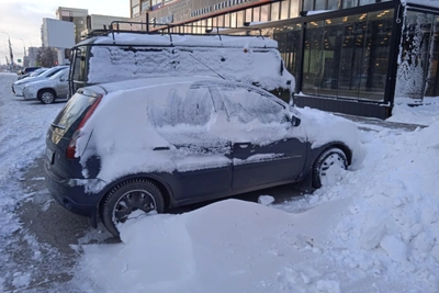 Буран в Ульяновске: поваленная елка, сорванная кровля