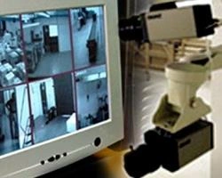 Все пункты сдачи ЕГЭ в Свердловской области оснащены видеокамерами | www.e1.ru