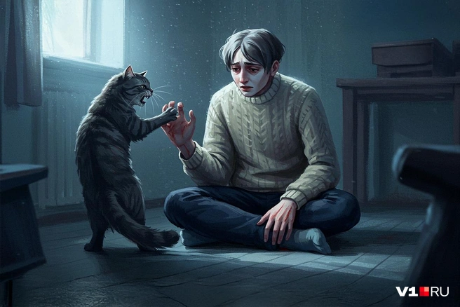 Из-за недостатка внимания кошка может стать даже агрессивной | Источник: Полина Авдошина / Городские медиа