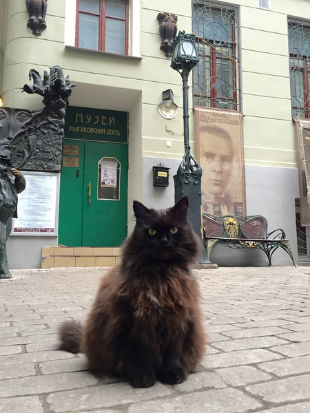 Фото №1 - В Москве из музея Булгакова украли кота Бегемота
